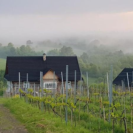 Utopia Dom Przy Winnicy Nowica Екстериор снимка
